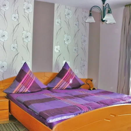 Gaestehaus Ruth Andrae 招待所 3*